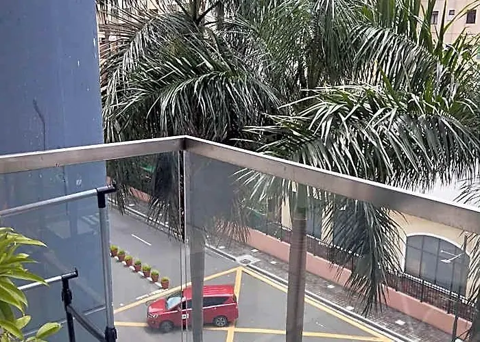 Palm Tree *